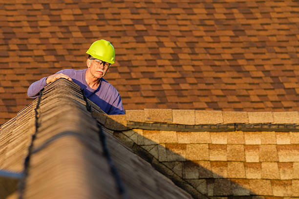 Roof Gutter Cleaning in Phelan, CA
